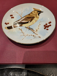 NEW Decorative Bird Plate
