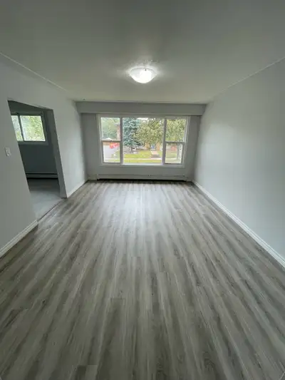 2 Bedroom, 1 bathroom apartment in a 4 plex building. Excellent location in Stanley park/Chicopee ar...