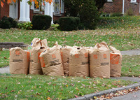 Looking for raked leaves for compost