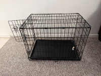 Medium Dog Crate and KONG Durable Crate Dog Mat