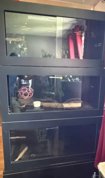 These high-quality, pre-owned 4x2x2 PVC reptile enclosure offer a secure and climate-controlled habi...