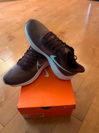 WMN Nike Air Zoom Pegasus 39 for $100.00 (Canyon Rust/Mint Foam)