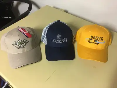 *NON-SMOKING HOME *HAWAII. Surfware. Retail $19.95. Only $10.00 *Wildwinds Golf Course. AJM Internat...
