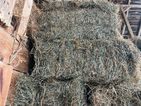 Small square bales of grass hay for sale