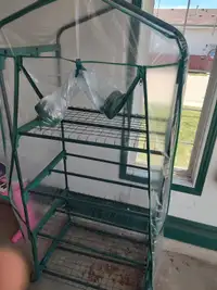 4 tier greenhouse with clear cover