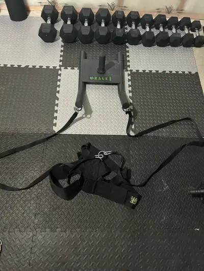 Sled is very lightly used and only on smooth surfaces Bumper plate is like new, never dropped, only...