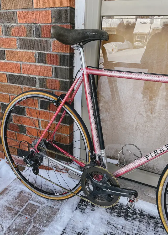 Pinarello Treviso - Campagnolo Chorus 11 - Neo-Retro in Road in Barrie - Image 3