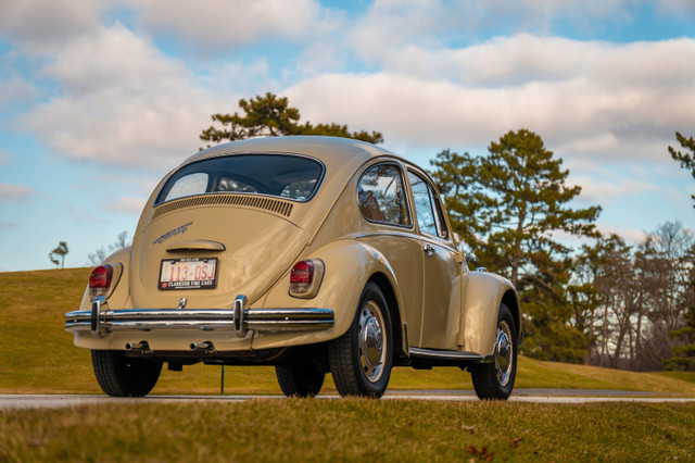 1969 Volkswagen Beetle Automatic Stickshift in Classic Cars in Oakville / Halton Region - Image 2