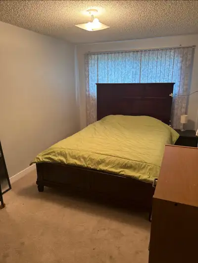 Dalhousie furnished room for rent