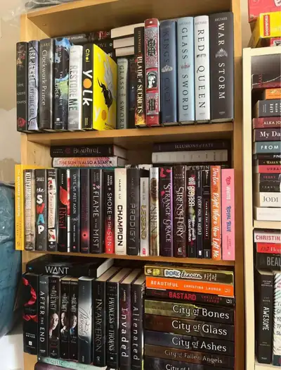 Many young adult books! Great Christmas gifts!!, View more