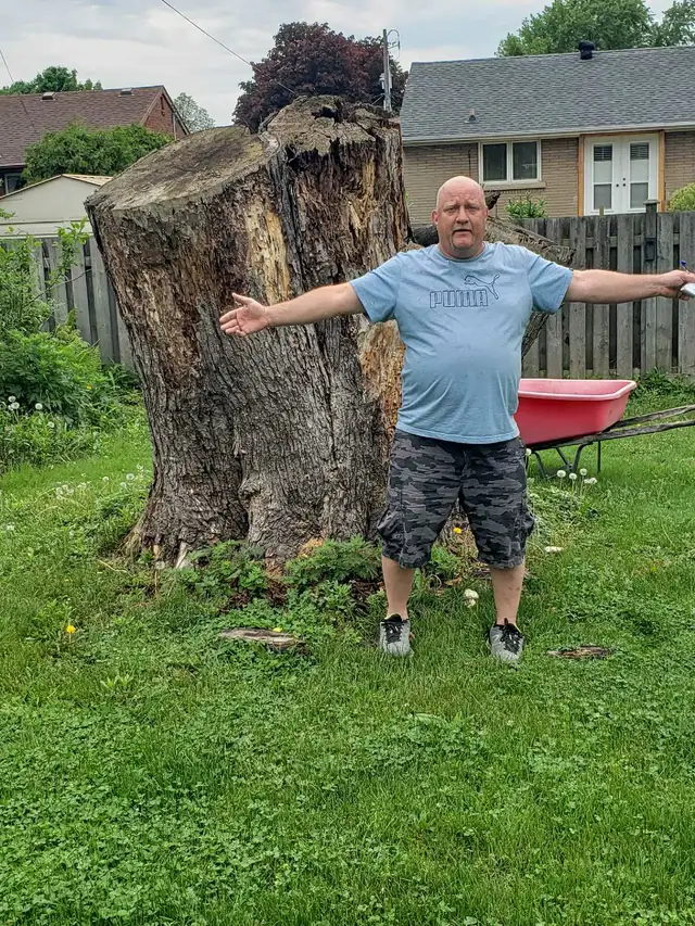 Stump Removal , Stump Grinding63009266183681123