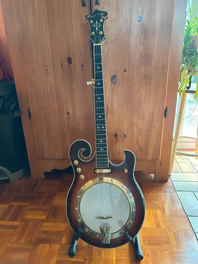 Banjo à vendre où échange contre mandoline acoustique. Le banjo vient avec un gig bag.