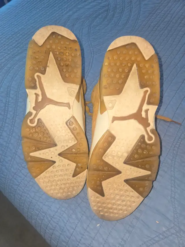 Chaussure de collection Nike Air Jordan 6 in Men's Shoes in Longueuil / South Shore - Image 4
