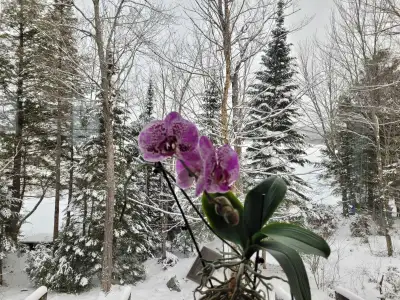 Massage dans Côte des Neiges, View more