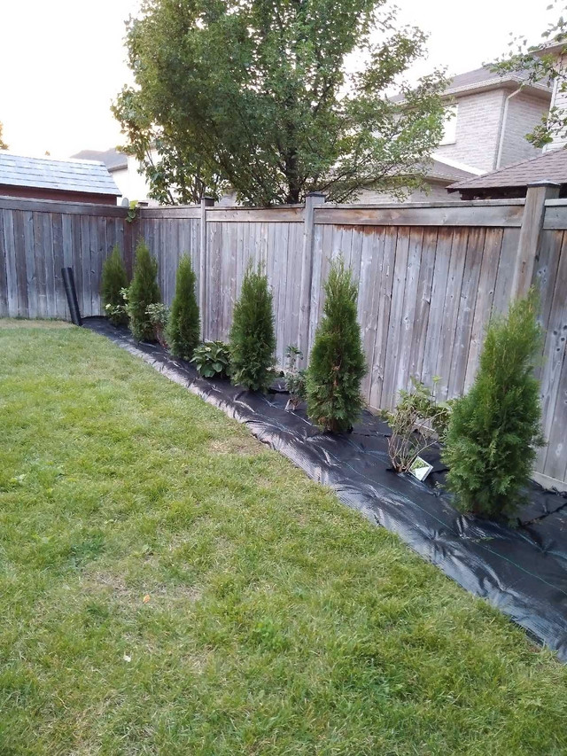 Landscaping and Property Maintenance. in Other in Hamilton - Image 4