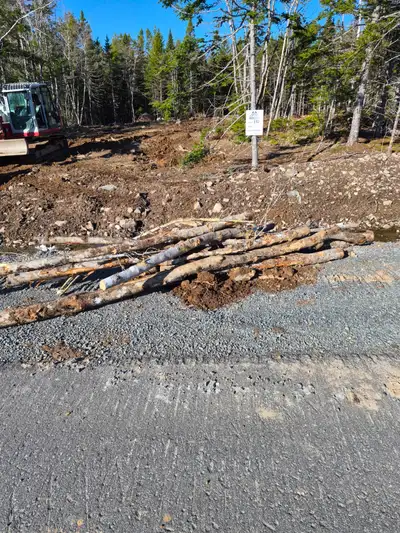 Free hardwood logs, View more
