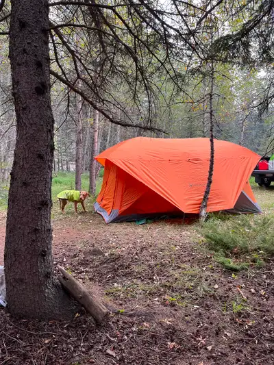 Gazelle tandem tent, View more