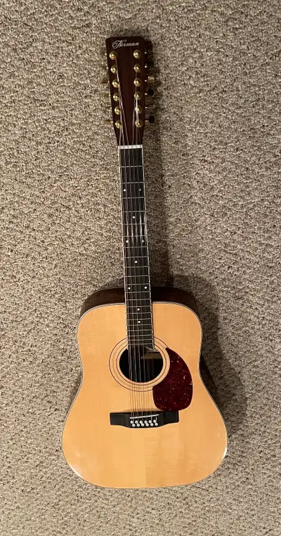 Norman 12 String Acoustic Guitar, View more