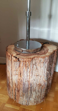 Cedar Stump