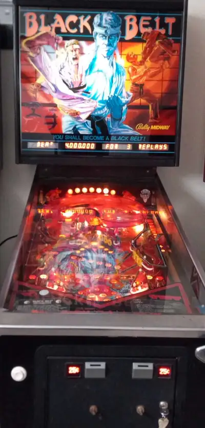Rare Classic pinball with a unique playfield. Only 600 made. Complete and in excellent working condi...
