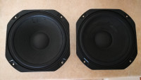 Pair of 12 inch Speakers