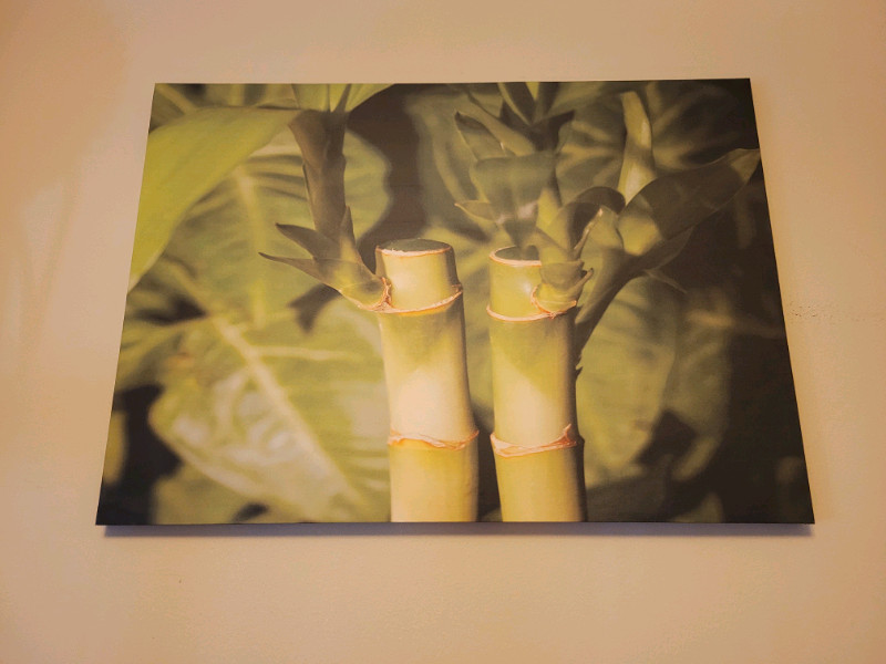 Large bamboo canvas for sale  