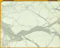 Calacatta Marble Slab Offcut | Table Top | Shelf