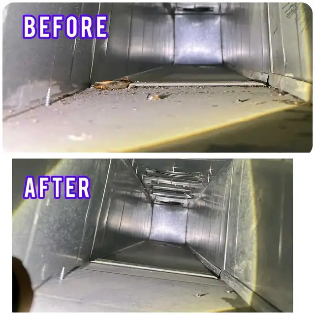 Unlimited Duct & Vent Cleaning – $99 Only64744837742083120