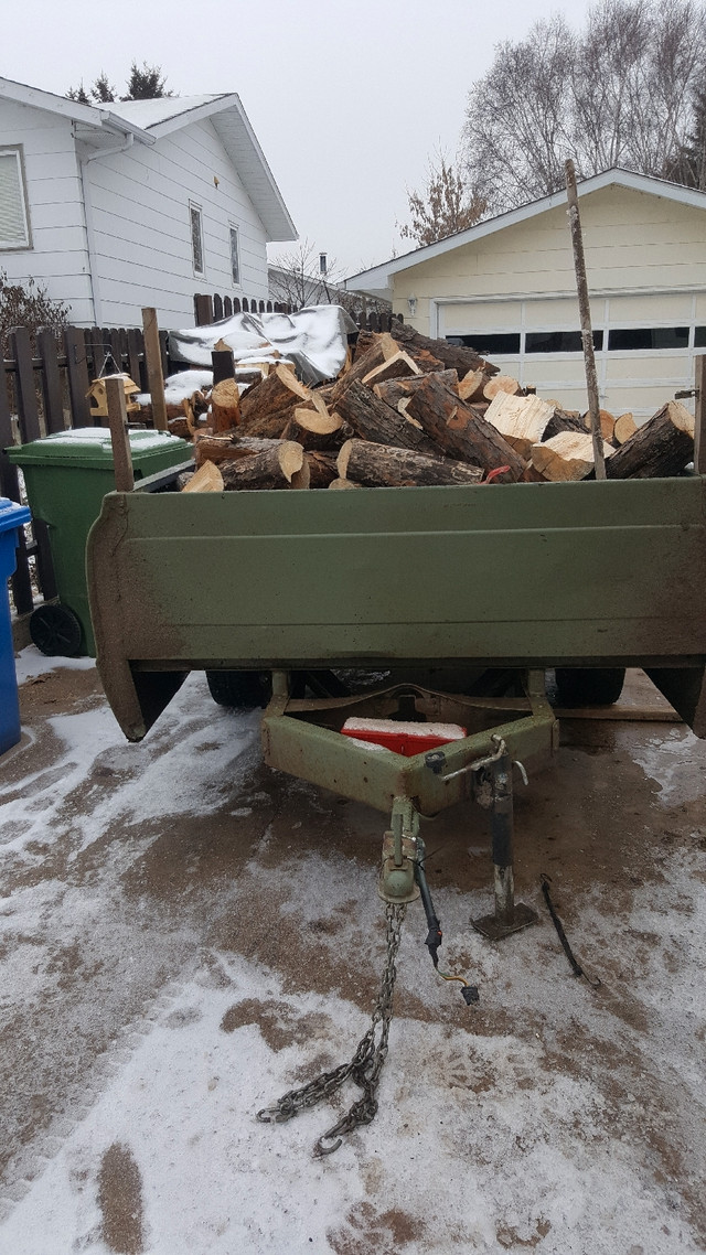 Firewood in Other in Prince Albert - Image 2