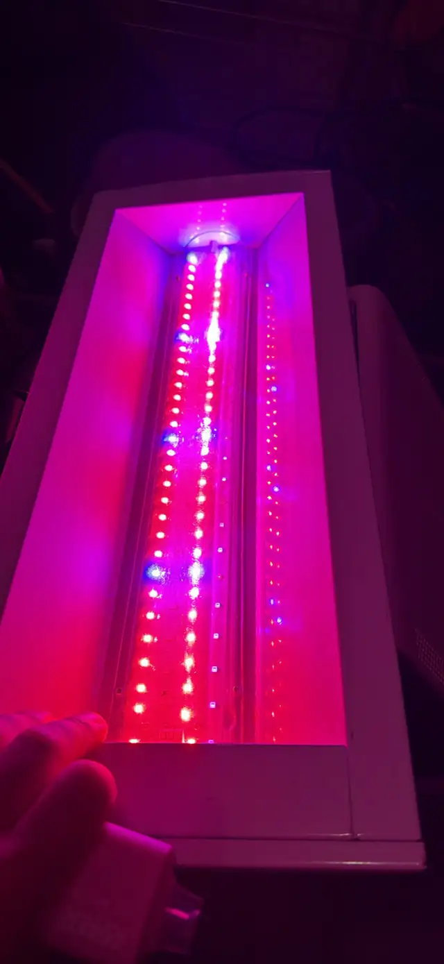 Intertek Grow Light562453668042516481