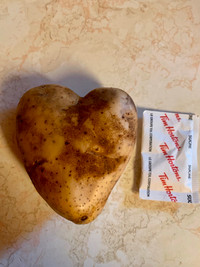 Very, Very Rare Heart Shaped Potato for sale