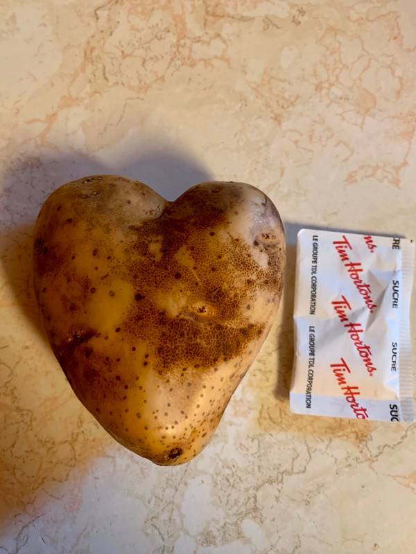 Very, Very Rare Heart Shaped Potato for sale in Hobbies & Crafts in Norfolk County