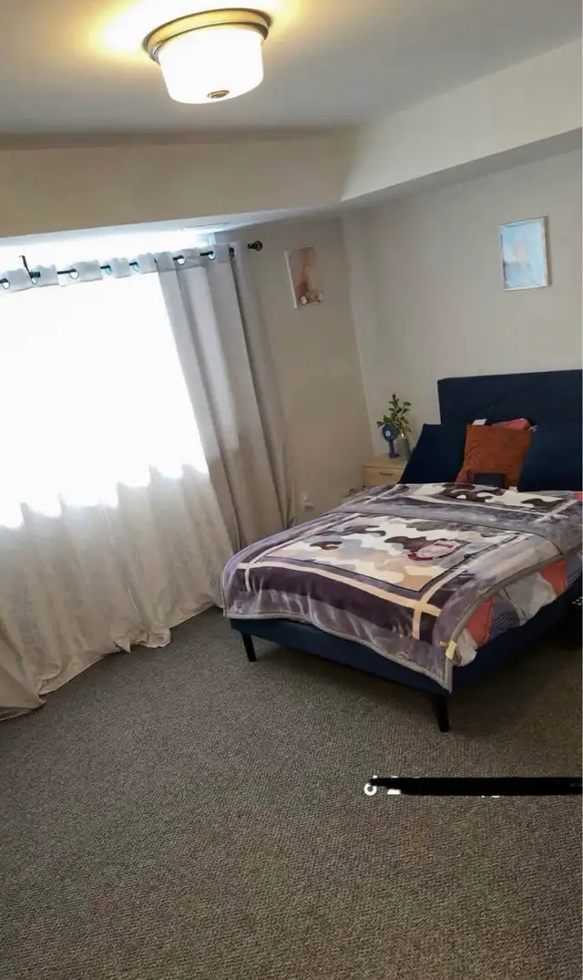 Apartment  in Room Rentals & Roommates in Ottawa - Image 7