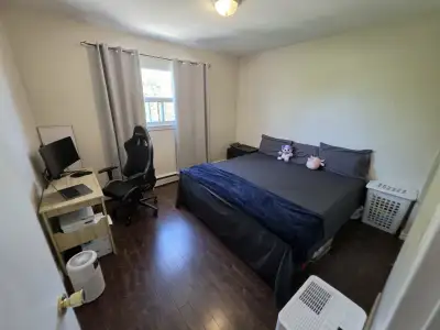 1 Bedroom apartment for rent. Newly renovated. Close to the parks, schools, shopping and city transi...
