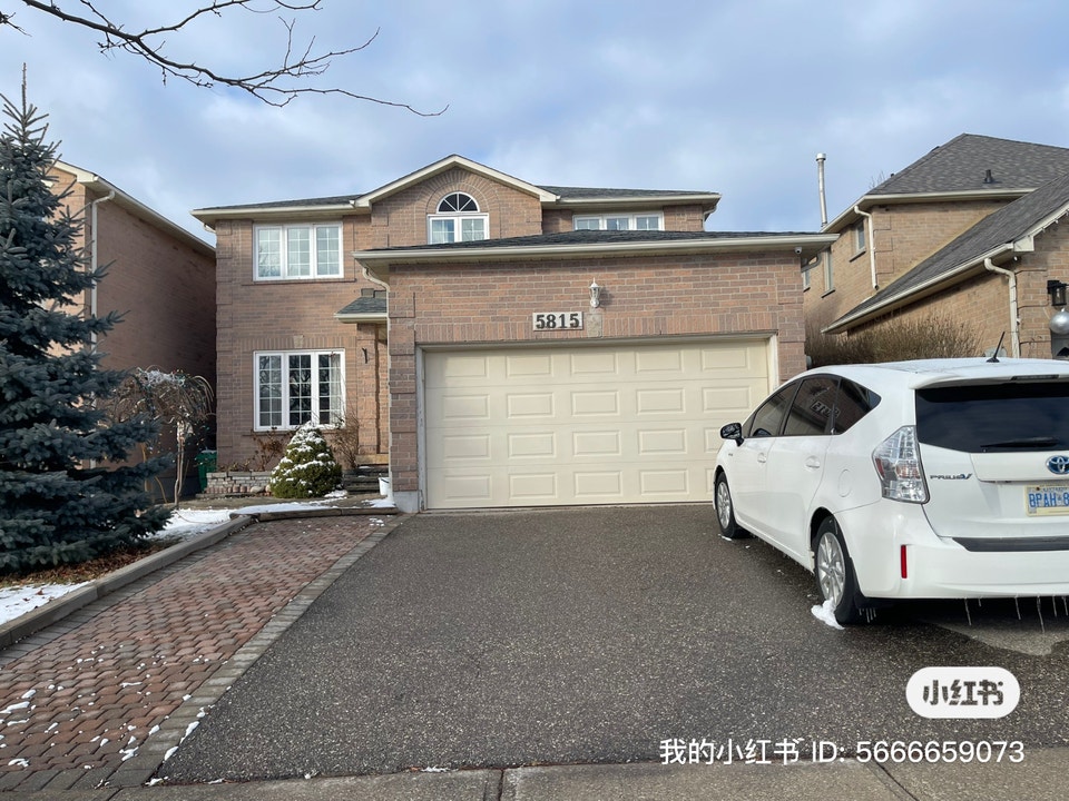Basement one bedroom suit for rent | Long Term Rentals | Mississauga ...