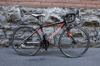 Garneau Team Axis 24 XS/Youth bike