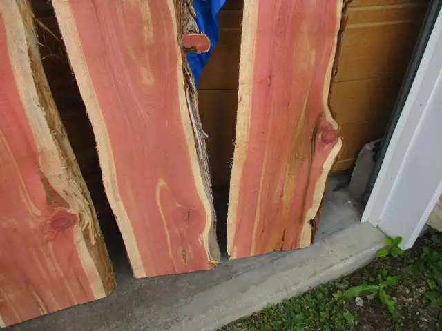 LIVE EDGE CEDAR KILN DRIED WOOD SLABS $120. EA.  SAWMILL in Arts & Collectibles in Winnipeg - Image 6