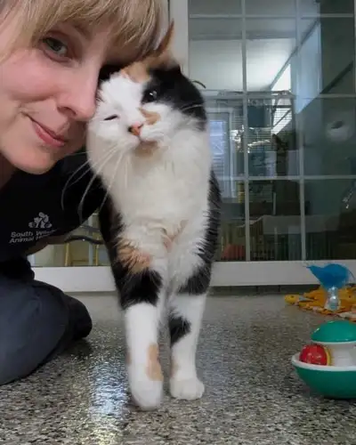 Award Winning Cat & Exotic Boarding, View more