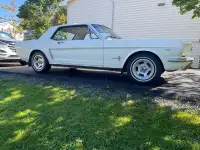 1964 1/2 Mustang 136,000 miles 