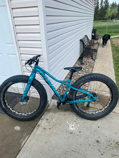 Mint fat tire bike, View more
