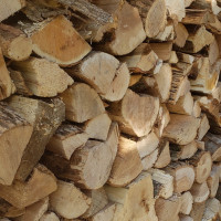 Parry Sound Firewood Delivery