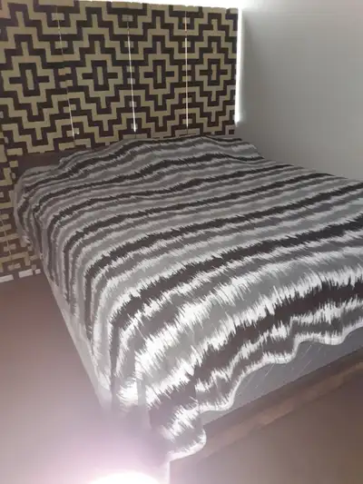 Room for rent with a private bathroom Only for full time worker Near to Hurontario Dundas Close to b...