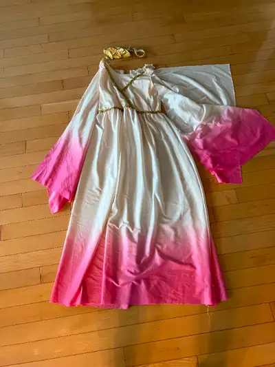 Halloween - Athena Greek Goddess Costume - Size large 12 -14