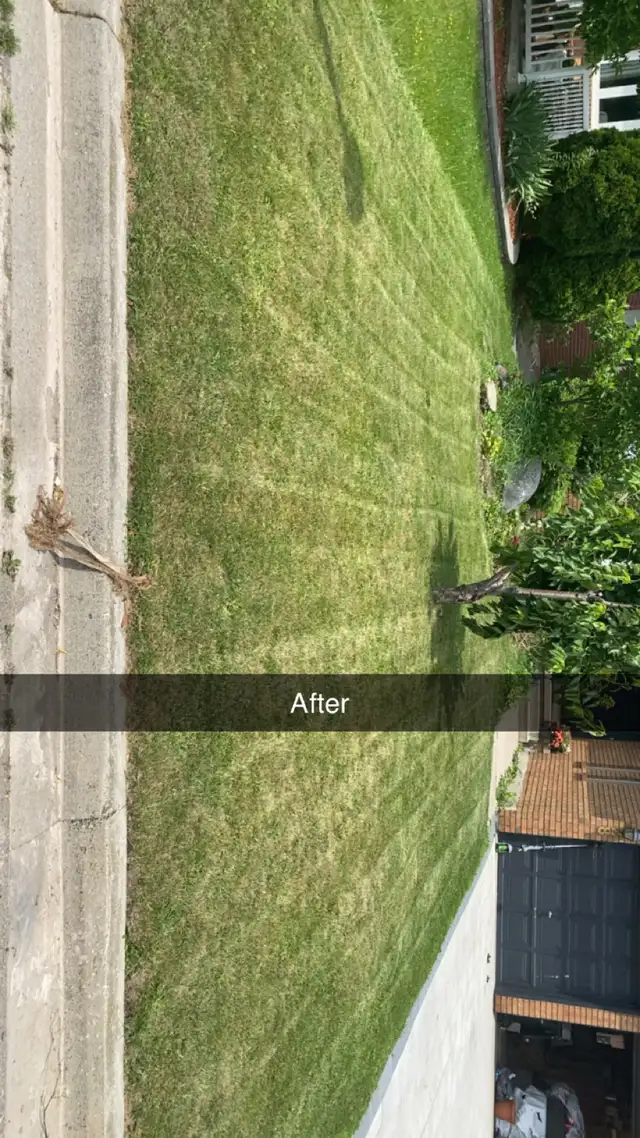 grass cutting and driveway/ deck pressure washing 518065403053352965