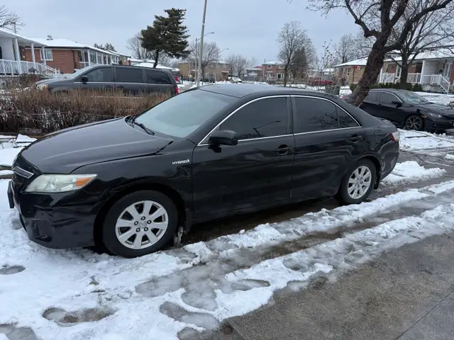 Local Rides64988210439810120