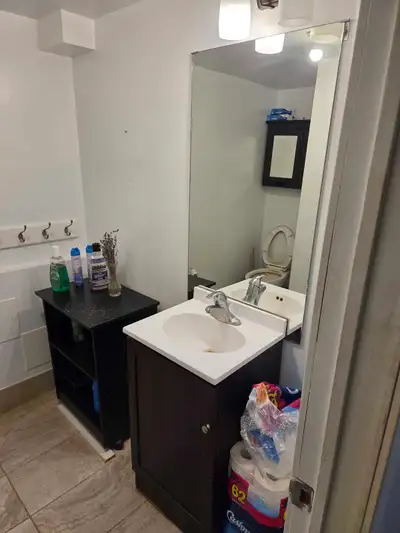 Beautiful 2 Bedroom Walkout Basement Apartment is Available Walkout distance to Soutlake Hospital Pu...