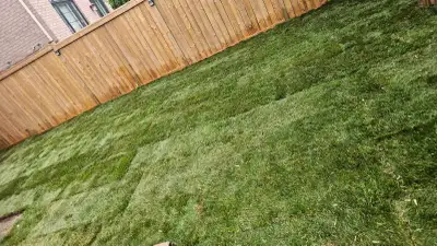 sod installation  free estimate , View more