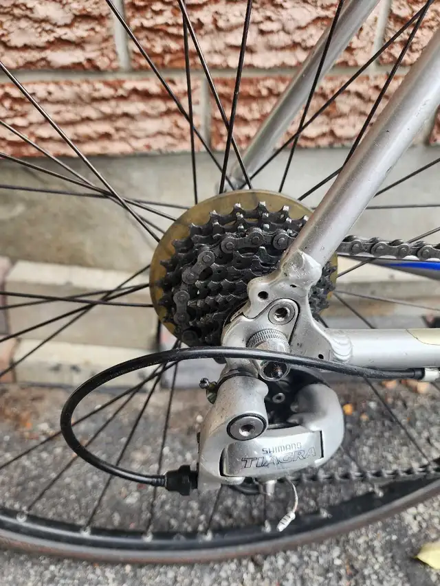 Trek road bike - Large in Road in Ottawa - Image 3