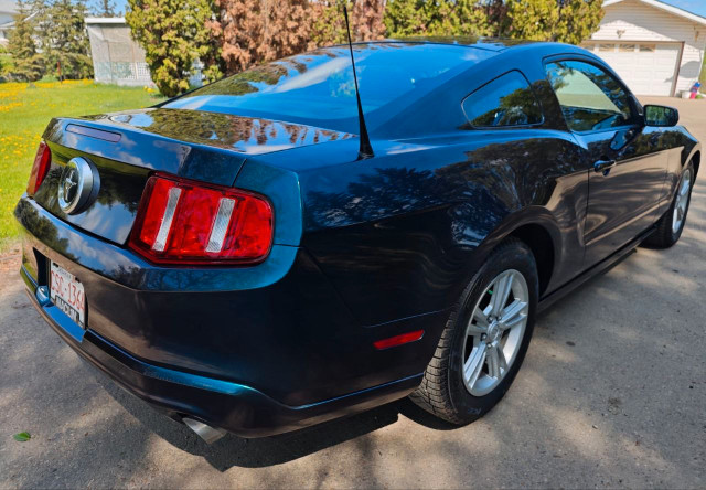Ford Mustang 2012 3.7L in Cars & Trucks in St. Albert - Image 3