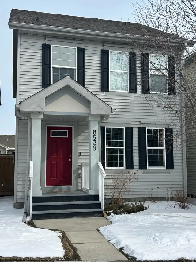 Roommate wanted